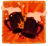 Oak Barrels