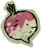 Hearty Turnip