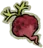 Shriveled Radish
